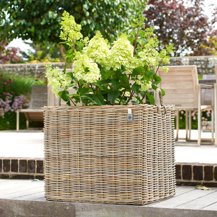 Maine Furniture Co. Handmade Rattan Planter Box Wayfair.co.uk